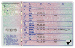 Schlüsselzahlen für Eintragungen in den Führerschein